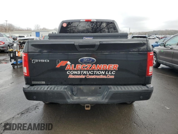 2017 Ford F-150 XL with VIN 1FTEW1EG3HKE32372, listed as a Copart auction lot 85034644 with 125,408 mi miles and Salvage Title. Bid and sale history available at DreamBid. Image 6.