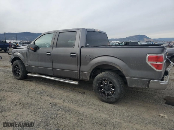 2013 Ford F-150 XL with VIN 1FTFW1CF1DFB41368, listed as a Copart auction lot 80332584 with 203,824 mi miles and Salvage Title. Bid and sale history available at carsss.com. Image 2.