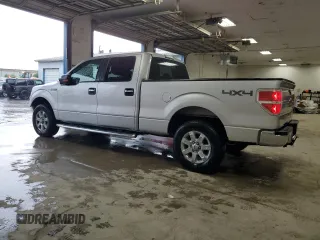 2013 Ford F-150 XL with VIN 1FTFW1ET7DKG39861, listed as a Copart auction lot 62772585 with 117,567 mi miles and Salvage title. Bid and sale history available at DreamBid. Image 2.
