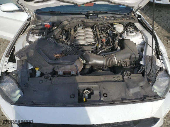 2019 Ford Mustang GT with VIN 1FA6P8CF4K5191146, listed as a Copart auction lot 46314315 with 59,005 mi miles and Salvage Title. Bid and sale history available at carsss.com. Image 11.