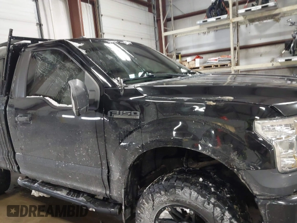 2016 Ford F-150 XL with VIN 1FTMF1E83GFA84973, listed as a IAAI auction lot 41343566 with 105,003 mi miles and . Bid and sale history available at DreamBid. Image 6.