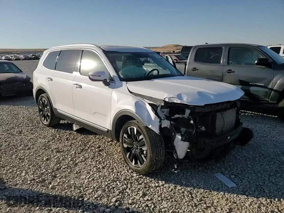 2023 Kia Telluride SX Prestige с VIN 5XYP5DGC6PG359719, выставлен на аукционе Copart как лот 75731334 с пробегом 26 072 миль миль и Списание • Salvage title. История ставок и продаж доступна на DreamBid. Изображение 10.