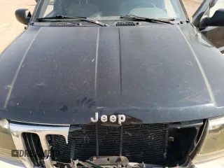 2000 Jeep Grand Cherokee Laredo with VIN 1J4GW48S6YC404063, listed as a Copart auction lot 59442725 with 268,543 mi miles and Salvage title. Bid and sale history available at DreamBid. Image 12.