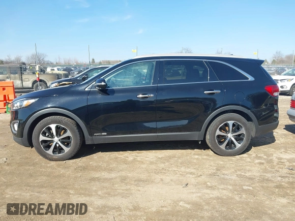 2017 Kia Sorento EX with VIN 5XYPHDA51HG294958, listed as a IAAI auction lot 41791927 with 131,555 mi miles and . Bid and sale history available at DreamBid. Image 14.