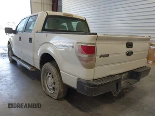 2010 Ford F-150 XL with VIN 1FTEW1E8XAFC98418, listed as a IAAI auction lot 42614159 with Not provided miles and . Bid and sale history available at DreamBid. Image 3.
