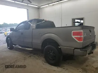 2010 Ford F-150 XL with VIN 1FTEX1CW0AFB44606, listed as a Copart auction lot 56570045 with 166,448 mi miles and Salvage title. Bid and sale history available at DreamBid. Image 2.