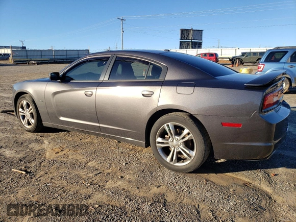 2013 Dodge Charger RT with VIN 2C3CDXDT3DH731025, listed as a Copart auction lot 40561264 with 117,228 mi miles and Salvage Title. Bid and sale history available at carsss.com. Image 2.