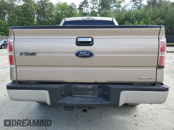 2011 Ford F-150 XL with VIN 1FTEX1CM2BFB69216, listed as a Copart auction lot 58258155 with 119,693 mi miles and Salvage title. Bid and sale history available at DreamBid. Image 6.