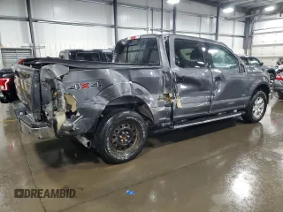 2015 Ford F-150 XLT with VIN 1FTEW1EP4FKE16999, listed as a Copart auction lot 58044245 with 83,362 mi miles and Salvage title. Bid and sale history available at DreamBid. Image 3.