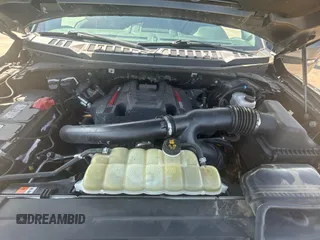 2019 Ford F-150 Raptor with VIN 1FTFW1RG7KFC06785, listed as a Copart auction lot 53731265 with 190,089 mi miles and Clean Title. Bid and sale history available at carsss.com. Image 7.