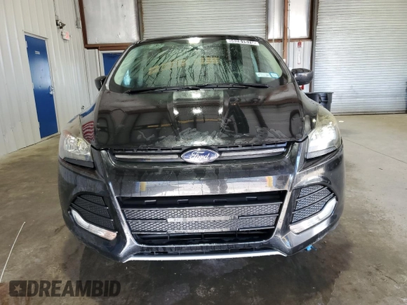 2014 Ford Escape SE with VIN 1FMCU0GXXEUC10234, listed as a Copart auction lot 55281575 with 122,754 mi miles and Clean Title. Bid and sale history available at DreamBid. Image 5.