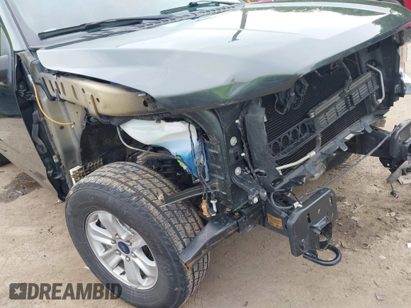 2018 Ford F-150 XL с VIN 1FTEW1EB4JKD70961, выставлен на аукционе IAAI как лот 42481830 с пробегом 76 972 миль миль и . История ставок и продаж доступна на DreamBid. Изображение 19.