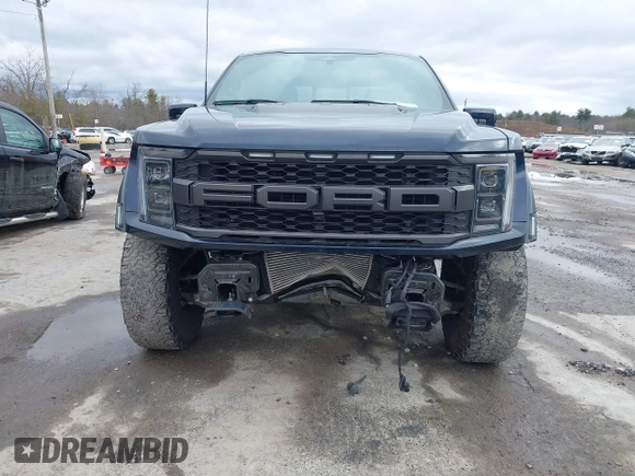 2023 Ford F-150 Raptor with VIN 1FTFW1RG9PFA45363, listed as a IAAI auction lot 41631790 with 64,393 mi miles and . Bid and sale history available at DreamBid. Image 6.
