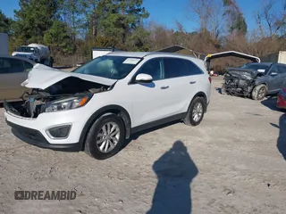 2017 Kia Sorento LX with VIN 5XYPG4A33HG255838, listed as a IAAI auction lot 41688042 with 50,187 mi miles. Bid and sale history available at carsss.com. Image 18.