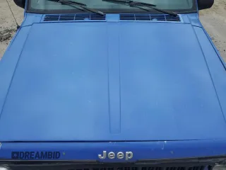 1996 Jeep Cherokee Sport z VIN 1J4FT68S8TL128381, wystawiony jako Copart lot #57496175 z przebiegiem 221 330 mil mil oraz Szkoda całkowita • Salvage title. Historia ofert i sprzedaży dostępna na DreamBid. Obrazek 12.