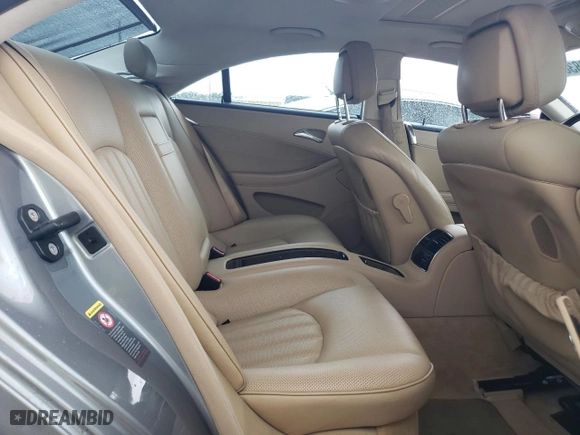 2010 Mercedes-Benz CLS-Class CLS 550 with VIN WDDDJ7CBXAA165625, listed as a Copart auction lot 72983684 with NaN miles and Salvage Title. Bid and sale history available at carsss.com. Image 10.