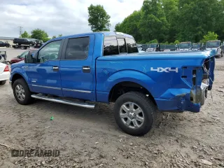 2013 Ford F-150 XL with VIN 1FTFW1ET4DKE90681, listed as a Copart auction lot 56385965 with 165,328 mi miles and Salvage title. Bid and sale history available at DreamBid. Image 2.