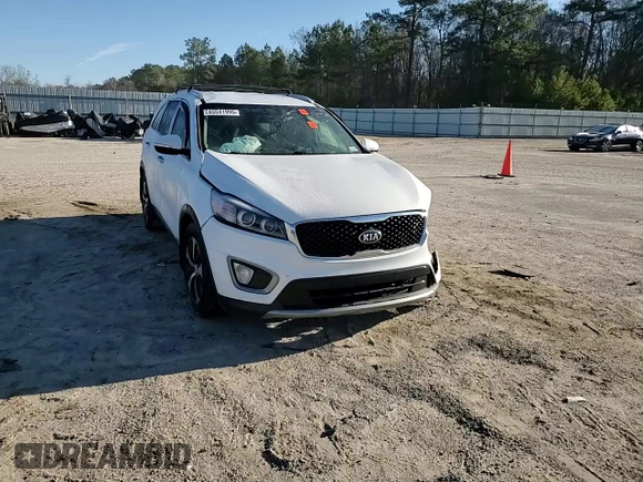 2016 Kia Sorento EX with VIN 5XYPHDA16GG137051, listed as a Copart auction lot 45541995 with 0 mi miles and Salvage Title. Bid and sale history available at carsss.com. Image 11.