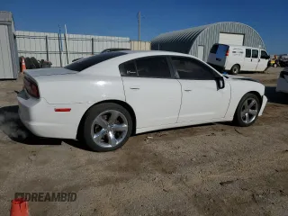 2014 Dodge Charger Police with VIN 2C3CDXAG8EH289481, listed as a Copart auction lot 86189534 with 179,755 mi miles and Salvage Title. Bid and sale history available at DreamBid. Image 3.