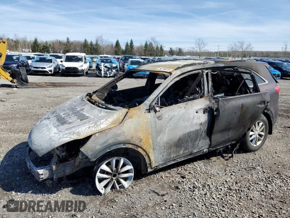2016 Kia Sorento LX with VIN 5XYPGDA37GG058458, listed as a Copart auction lot 54210075 with Not Provided miles and Salvage Title. Bid and sale history available at DreamBid. Image 1.