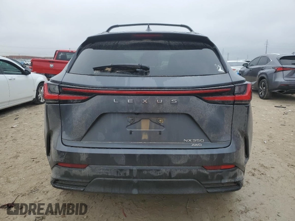 2022 Lexus NX with VIN JTJAGCEZ6N5003825, listed as a Copart auction lot 43038805 with 6,687 mi miles and Salvage Title. Bid and sale history available at carsss.com. Image 6.