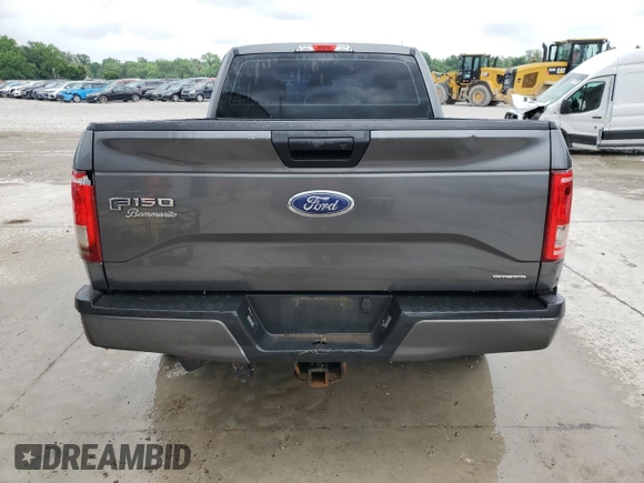 2016 Ford F-150 XLT with VIN 1FTFX1EF5GFD10399, listed as a Copart auction lot 60110165 with 145,374 mi miles and Salvage title. Bid and sale history available at DreamBid. Image 6.
