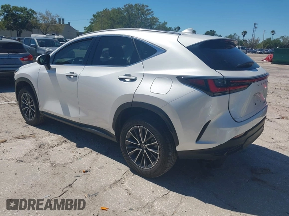 2024 Lexus NX 350 Premium with VIN JTJGGCEZ8R5006094, listed as a IAAI auction lot 41848568 with 23,923 mi miles and . Bid and sale history available at DreamBid. Image 3.