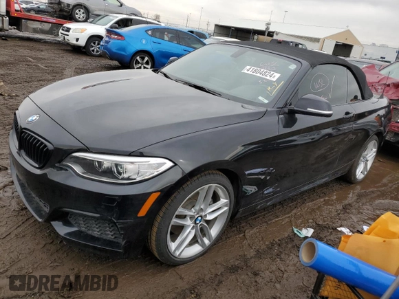 2016 BMW 2 Series 228i xDrive with VIN WBA1L9C59GV325182, listed as a Copart auction lot 41804824 with 44,549 mi miles. Bid and sale history available at carsss.com. Image 1.