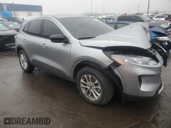 2022 Ford Escape SE with VIN 1FMCU9G61NUC02650, listed as a Copart auction lot 81252904 with Not provided miles and Non repairable. Bid and sale history available at DreamBid. Image 4.