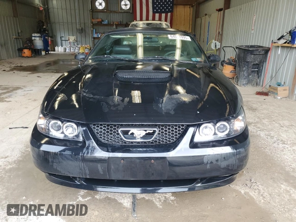 2002 Ford Mustang GT Deluxe with VIN 1FAFP42X82F155649, listed as a Copart auction lot 64041995 with Not provided miles and Salvage title. Bid and sale history available at DreamBid. Image 5.