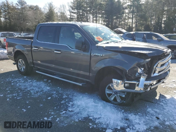 2017 Ford F-150 XL with VIN 1FTEW1EF8HFB34383, listed as a Copart auction lot 45608185 with Not Provided miles and Salvage Title. Bid and sale history available at carsss.com. Image 4.
