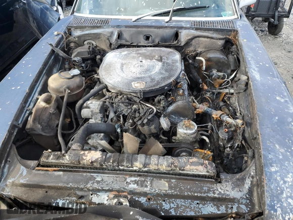1981 Mercedes-Benz 380 380SL with VIN WDBBA45A1BB004630, listed as a Copart auction lot 87215664 with 8,882 mi miles and Salvage Title. Bid and sale history available at carsss.com. Image 11.