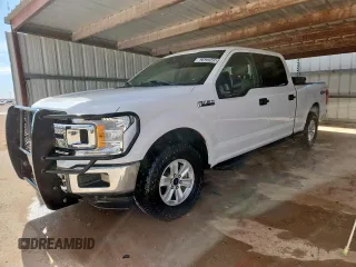2019 Ford F-150 XL with VIN 1FTFW1E5XKKE16423, listed as a Copart auction lot 62522545 with 183,229 mi miles and Clean title. Bid and sale history available at DreamBid. Image 1.