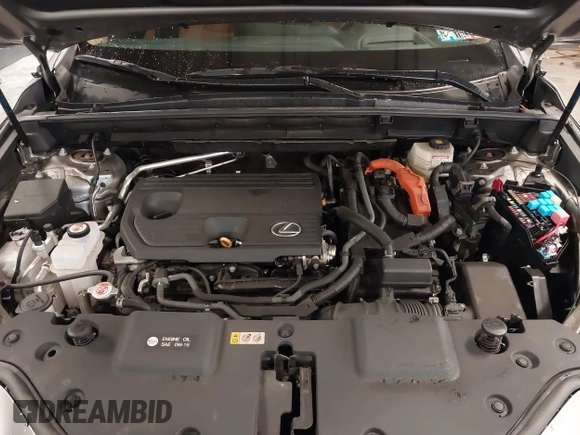 2024 Lexus NX 350h Premium with VIN 2T2GKCEZ3RC016337, listed as a IAAI auction lot 41922869 with 23,022 mi miles and . Bid and sale history available at DreamBid. Image 10.