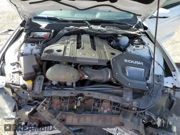 2019 Ford Mustang GT with VIN 1FA6P8CF6K5199362, listed as a Copart auction lot 51521535 with 40,503 mi miles and Salvage Title. Bid and sale history available at DreamBid. Image 13.