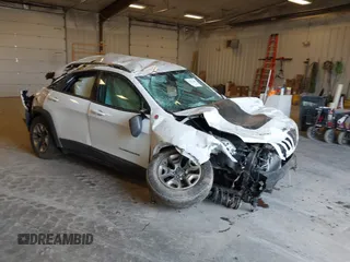 2019 Jeep Cherokee Trailhawk with VIN 1C4PJMBX1KD200300, listed as a IAAI auction lot 41781465 with Not Provided miles and . Bid and sale history available at DreamBid. Image 1.
