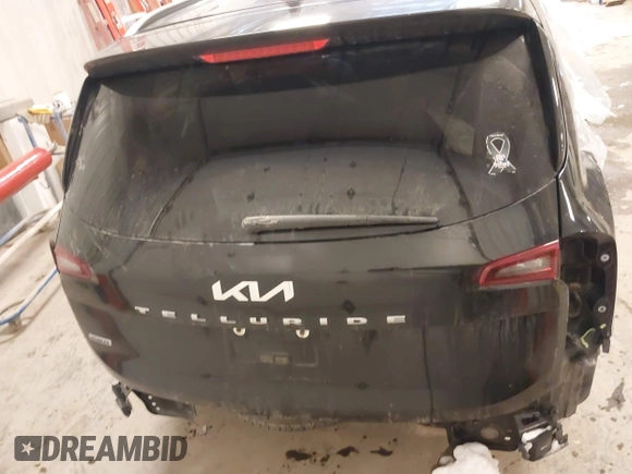 2022 Kia Telluride S with VIN 5XYP6DHC7NG222796, listed as a IAAI auction lot 41600096 with 98,134 mi miles and . Bid and sale history available at DreamBid. Image 16.