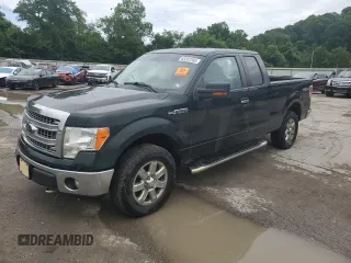 2013 Ford F-150 XL with VIN 1FTFX1EF6DFA66130, listed as a Copart auction lot 63207265 with 190,147 mi miles and Salvage title. Bid and sale history available at DreamBid. Image 1.