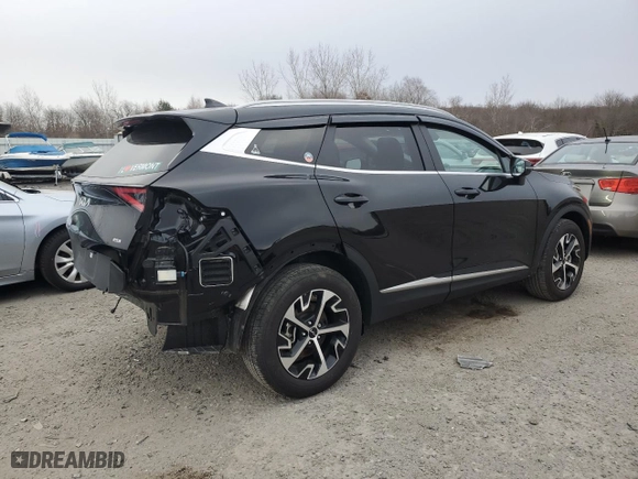 2024 Kia Sportage EX with VIN 5XYK3CDF2RG203656, listed as a Copart auction lot 41628225 with 10,021 mi miles and Salvage Title. Bid and sale history available at carsss.com. Image 3.
