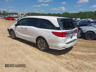 2024 Honda Odyssey EX-L with VIN 5FNRL6H6XRB070789, listed as a IAAI auction lot 41333384 with 6,553 mi miles and . Bid and sale history available at DreamBid. Image 3.