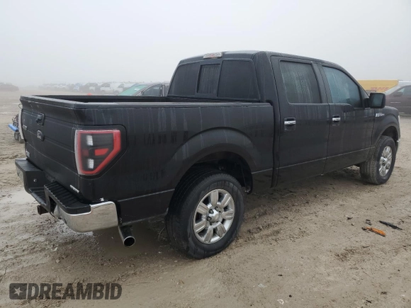 2012 Ford F-150 XL with VIN 1FTFW1CF1CKE31499, listed as a Copart auction lot 46225155 with 214,032 mi miles and Salvage Title. Bid and sale history available at carsss.com. Image 3.