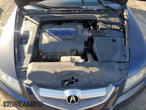 2006 Acura TL with VIN 19UUA66296A014252, listed as a Copart auction lot 48910725 with 259,371 mi miles and Salvage Title. Bid and sale history available at carsss.com. Image 11.