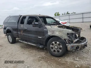 2014 Ford F-150 XL with VIN 1FTFX1ETXEFB07947, listed as a Copart auction lot 61484295 with Not provided miles and Non repairable. Bid and sale history available at DreamBid. Image 4.