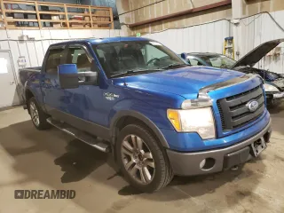 2009 Ford F-150 XL with VIN 1FTPW14V09KB58851, listed as a Copart auction lot 60174025 with 209,055 mi miles and Clean title. Bid and sale history available at DreamBid. Image 4.