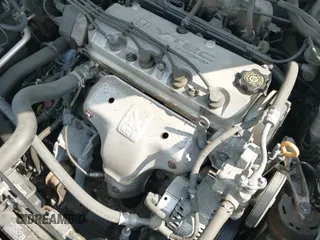 2002 Honda Accord EX with VIN 1HGCG56602A087916, listed as a IAAI auction lot 42923472 with 131,014 mi miles and . Bid and sale history available at DreamBid. Image 12.