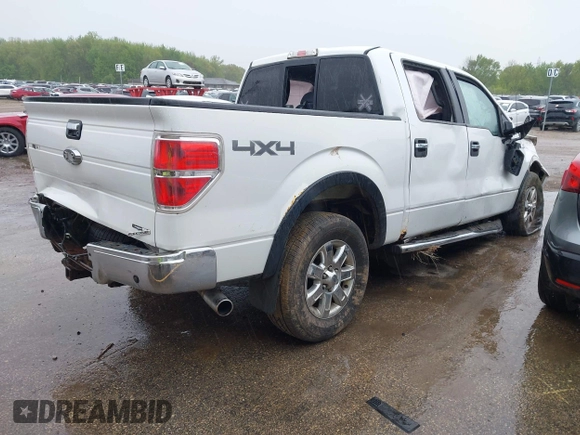 2013 Ford F-150 XL with VIN 1FTFW1EF0DKE51211, listed as a IAAI auction lot 42302562 with Not provided miles and . Bid and sale history available at DreamBid. Image 4.