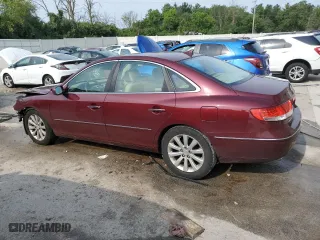 2009 Hyundai Azera GLS with VIN KMHFC46D19A358682, listed as a Copart auction lot 65164534 with 168,592 mi miles and Salvage Title. Bid and sale history available at carsss.com. Image 2.