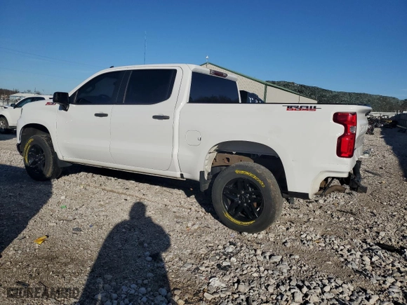 2019 Chevrolet Silverado 1500 Custom Trail Boss with VIN 3GCPYCEFXKG174758, listed as a Copart auction lot 45525875 with 167,345 mi miles and Salvage Title. Bid and sale history available at carsss.com. Image 2.