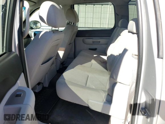2010 Chevrolet Silverado 1500 LT with VIN 3GCRCSEA6AG205184, listed as a Copart auction lot 88074565 with 198,054 mi miles and Salvage Title. Bid and sale history available at DreamBid. Image 10.