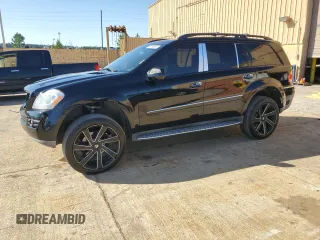 2009 Mercedes-Benz GL-Class 4.6L with VIN 4JGBF71E89A471309, listed as a Copart auction lot 48795555 with 162,940 mi miles and Clean Title. Bid and sale history available at carsss.com. Image 1.